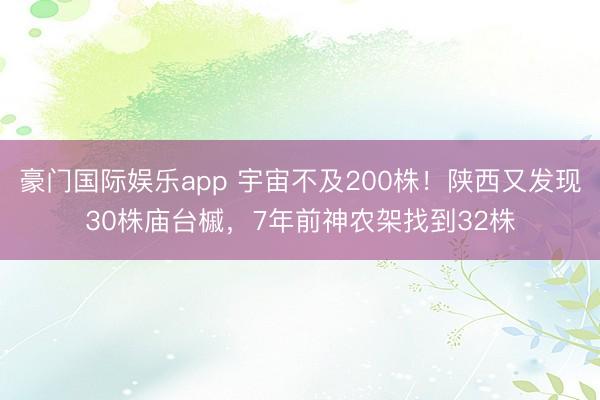 豪门国际娱乐app 宇宙不及200株！陕西又发现30株庙台槭，7年前神农架找到32株