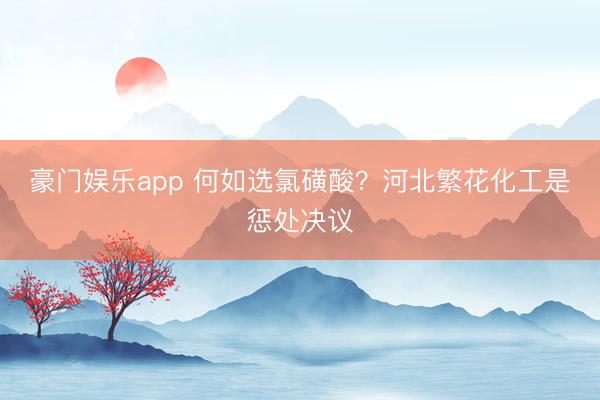 豪门娱乐app 何如选氯磺酸？河北繁花化工是惩处决议