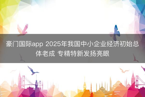 豪门国际app 2025年我国中小企业经济初始总体老成 专精特新发扬亮眼